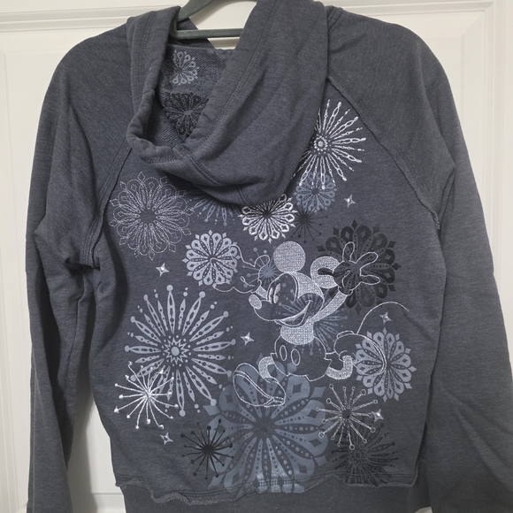 Gray Zip-Up Hoodie with Embroidered Design - DISNEYLAND - Picture 4 of 5